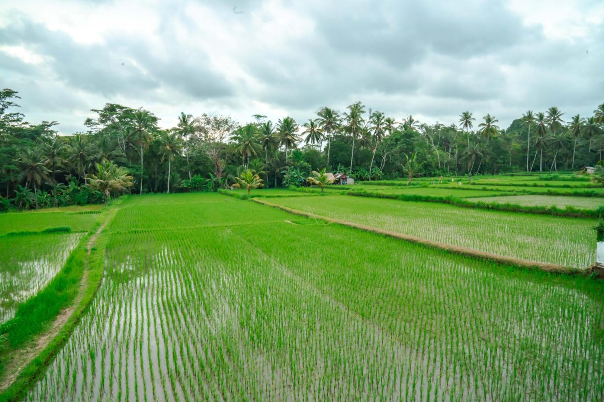 Tulus Hati Ubud Retreat Exterior foto